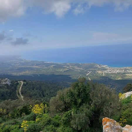 Exotic Hotel & Spa Boghaz Esterno foto