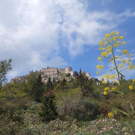 Exotic Hotel & Spa Boghaz Esterno foto