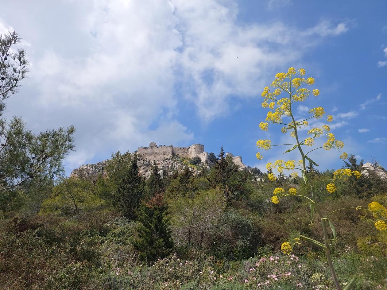 Exotic Hotel & Spa Boghaz Esterno foto